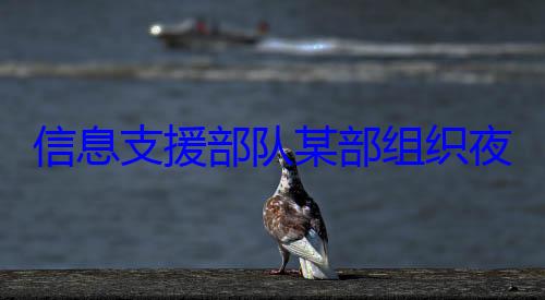 夜间修理训队某部组织练图信息支援部